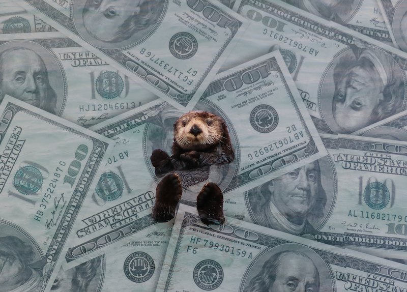 I want to thank everyone that guided us through the fundraising morass and stood by us:
• Our venerable advisors <a href="/andyhpalmer/">Andy Palmer</a> + Amarjit Gill
• @IntelCapital (<a href="/NickWashburn80/">Nick Washburn</a> + <a href="/BigData_ML/">Assaf Araki</a>)
• <a href="/RaceCapital/">Race Capital</a> (en.wikipedia.org/wiki/Alfred_Ch…)
• <a href="/Accel/">Accel</a> (<a href="/ping_accel/">ping li</a>)