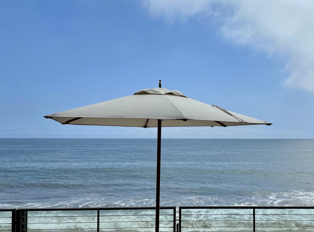 Brian Bailey tweet media