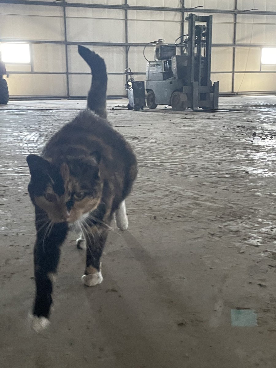 One of my favourite parts about visiting my growers is seeing their furry friends! Send me pictures of your shop security! <a href="/farmers_edge/">Farmers Edge</a>