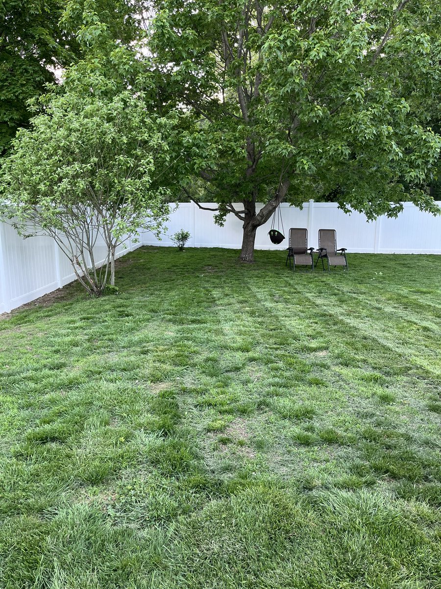 JonKellyDFS's tweet photo. People really thought this was a bit. Still some problem areas but we’re getting there slowly but surely. Before ➡️ After #DadLife #YardGuy #JonnysHomeAndGardens https://t.co/VAKHLfmg6a