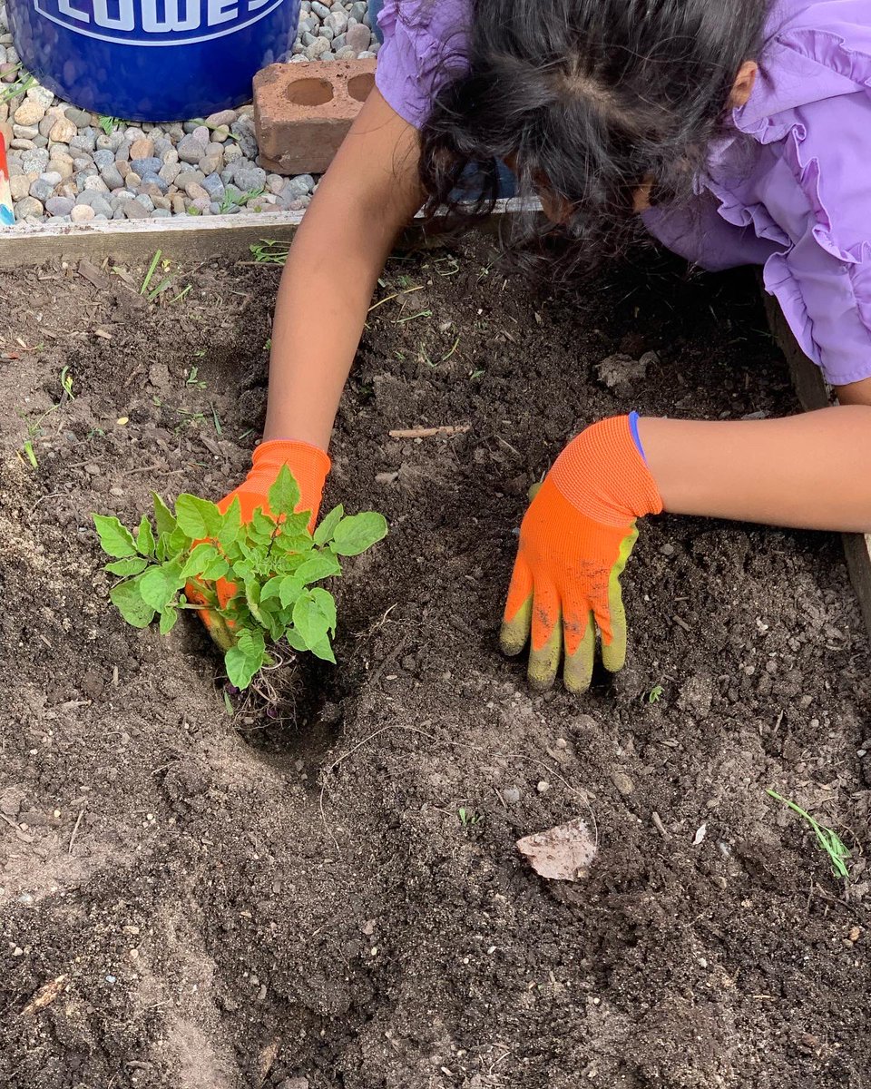 YES! of White Center tweet media