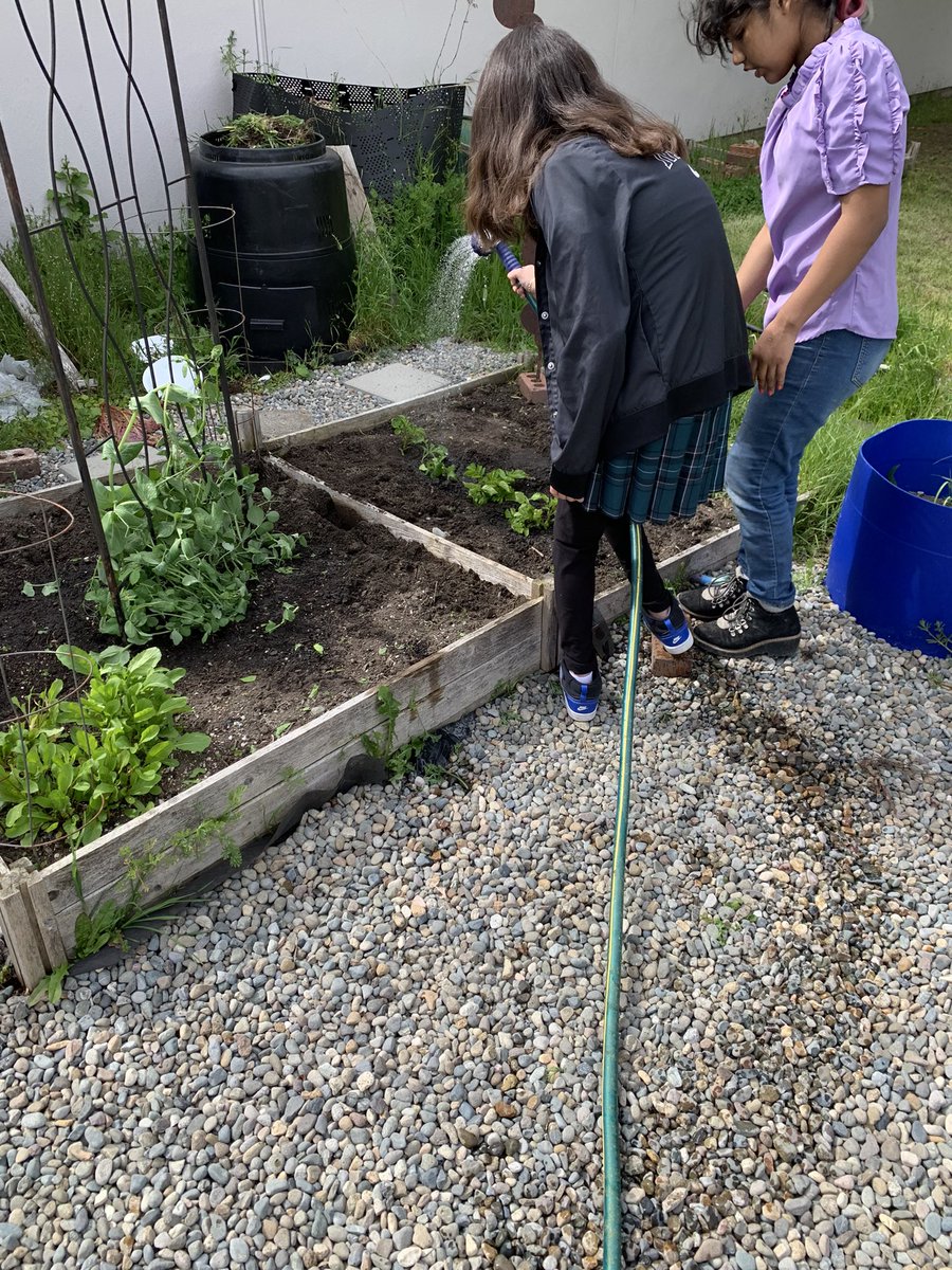 YES! of White Center tweet media