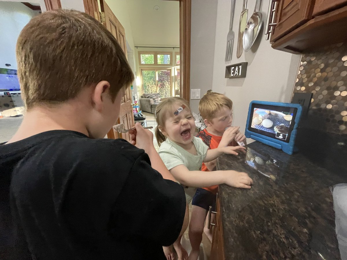 ChristenPietraz's tweet photo. Watching chicks hatch is a family affair. 😍 Thank you @MsSauchak for letting us share in this process!!! #novipride https://t.co/1k7Hl2hNHs