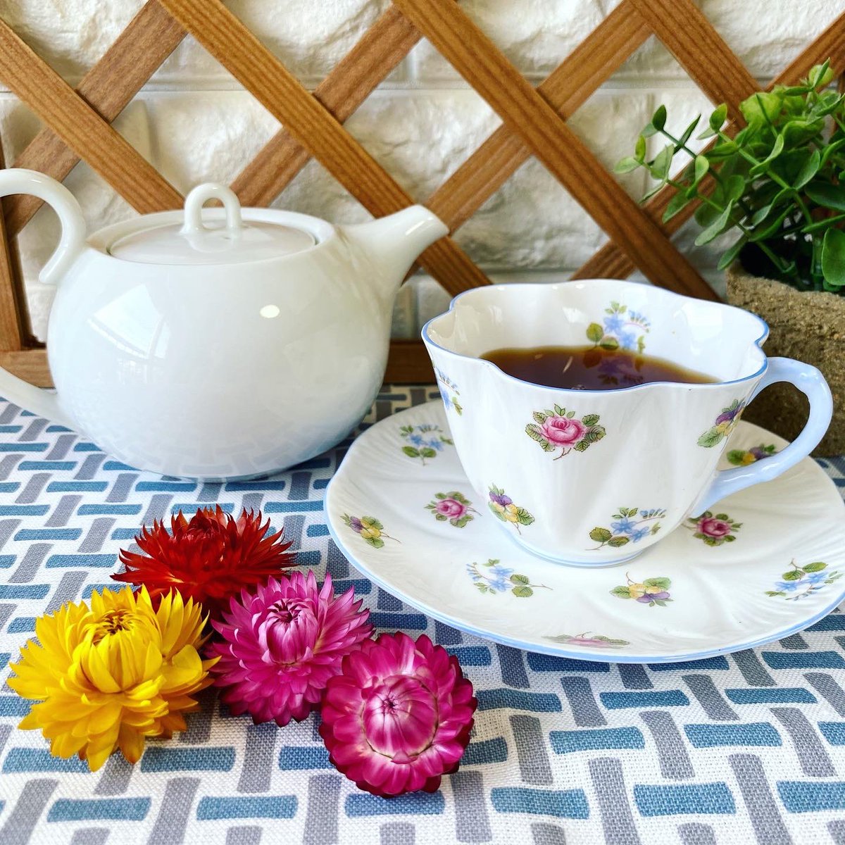 おはようございます☀️
今日一日よい日でありますよーに。