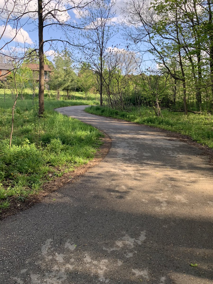 What does it mean if I’m ultra-focused on hitting every apex perfectly on my daily power walk? A. I’m watching too much <a href="/F1/">Formula 1</a>. B. I’m taking my walks way too seriously.