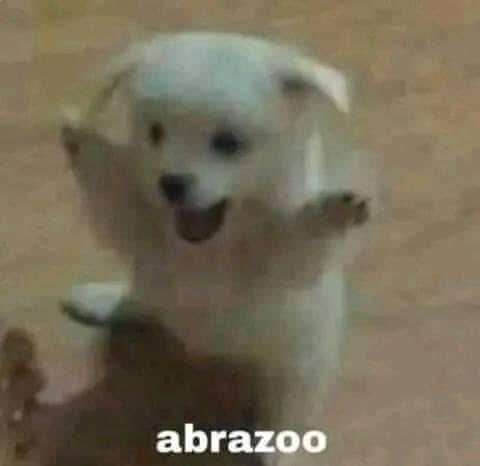 Nadie:

Yo cuando veo un perrito: