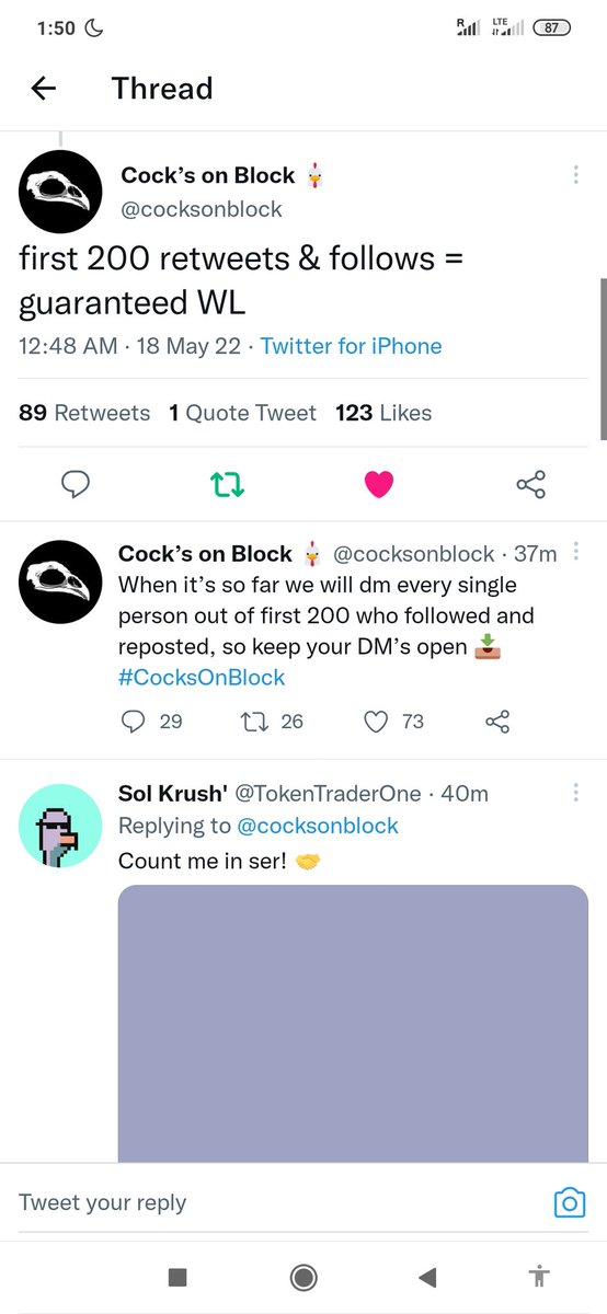 koshechka tweet media