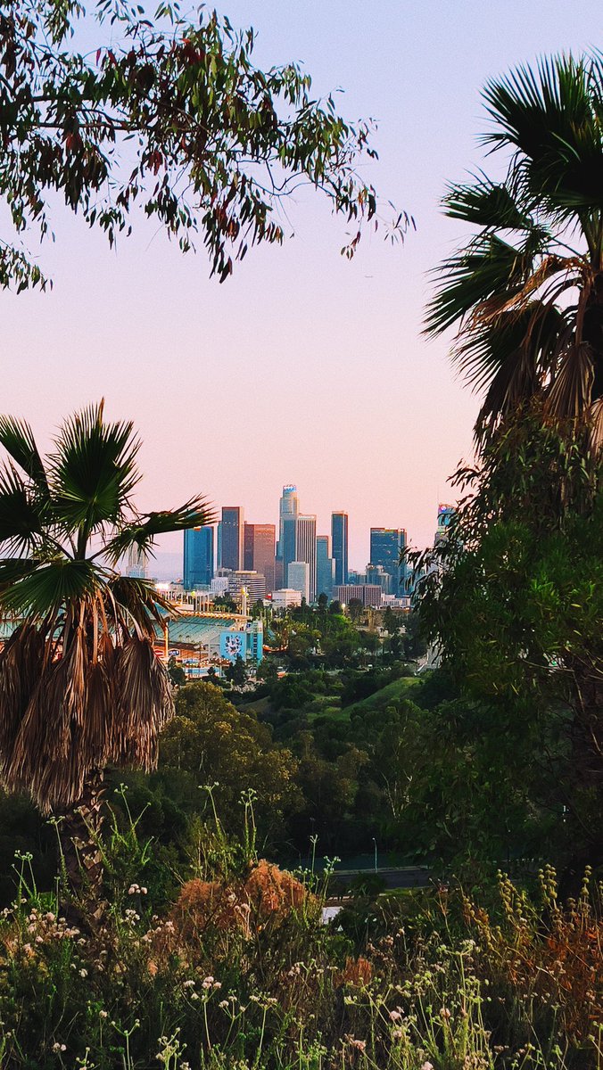 ᴅᴀᴠɪᴅ ᴍᴀʟᴀᴠᴇ tweet media