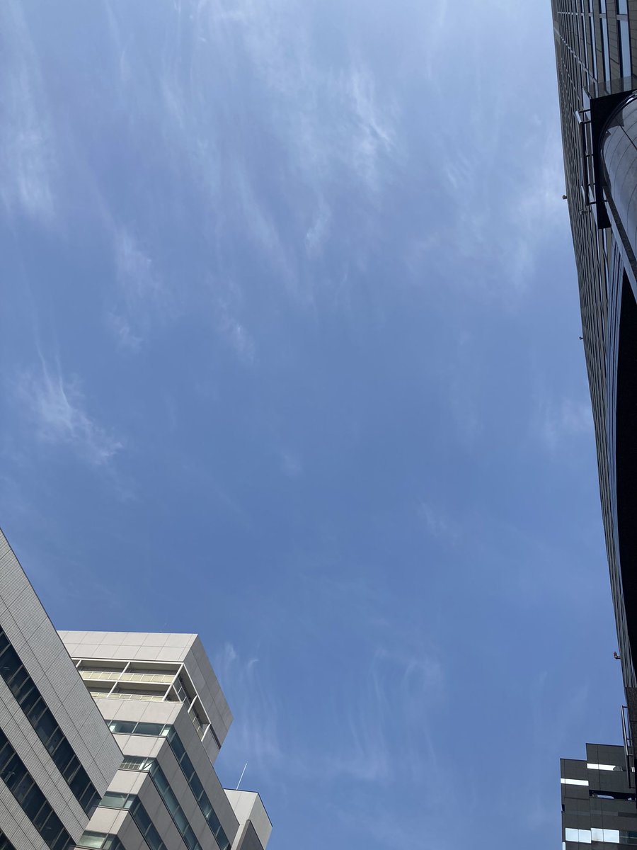 corchalkayaba's tweet photo. おはようございます☀
やっと晴れましたね🙆‍♀️
寒天日和☀️
赤紫蘇寒天入荷致しました❣️
甘さスッキリ　程よい酸味が
身体を蘇らせます💕
ビタミンレモン寒天ジュース🍋
も　宜しくお願い致します🥤
#伊豆八木沢産天草使用
#赤紫蘇　#デトックス https://t.co/dCJ09oelJJ