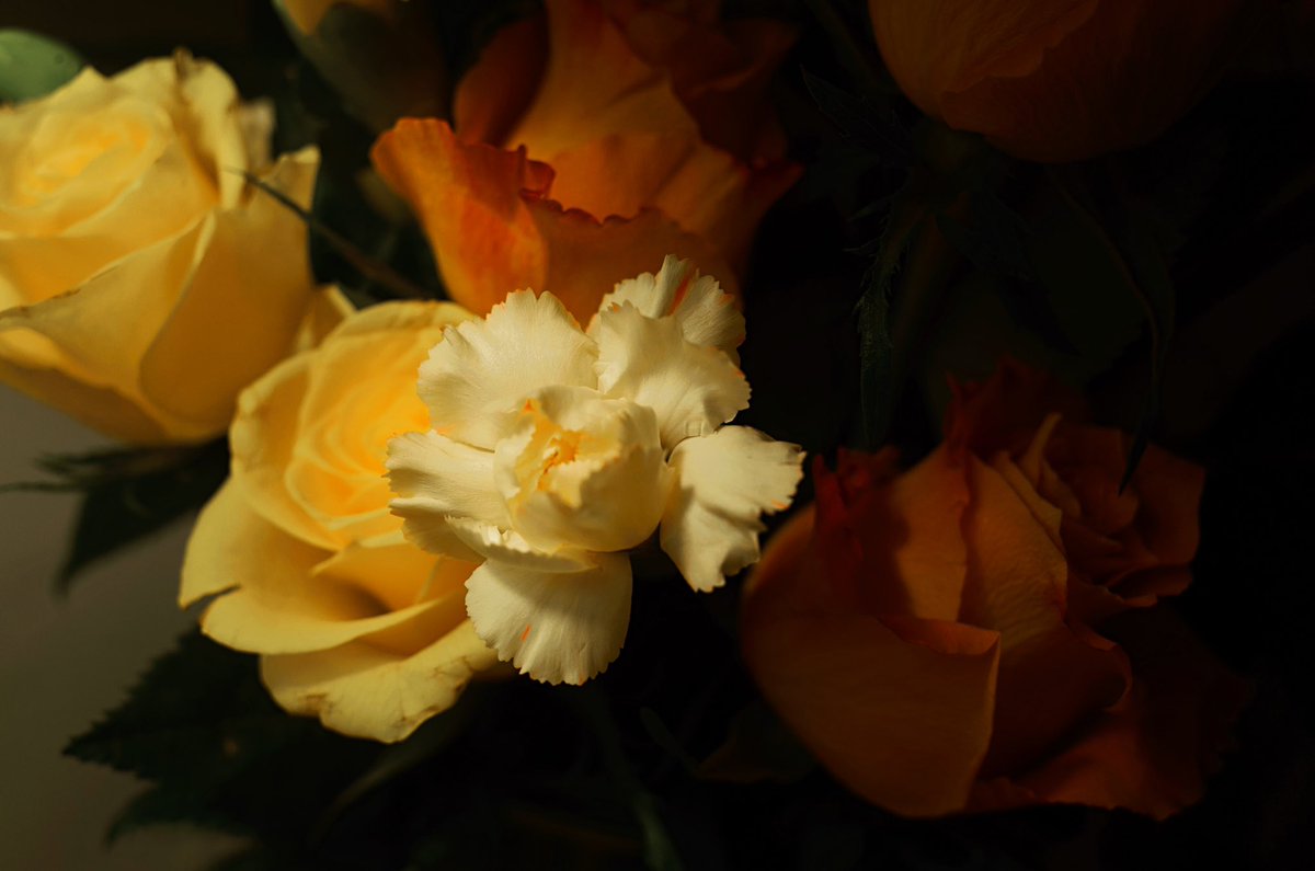 J Liang (@joiseliang) on Twitter photo 