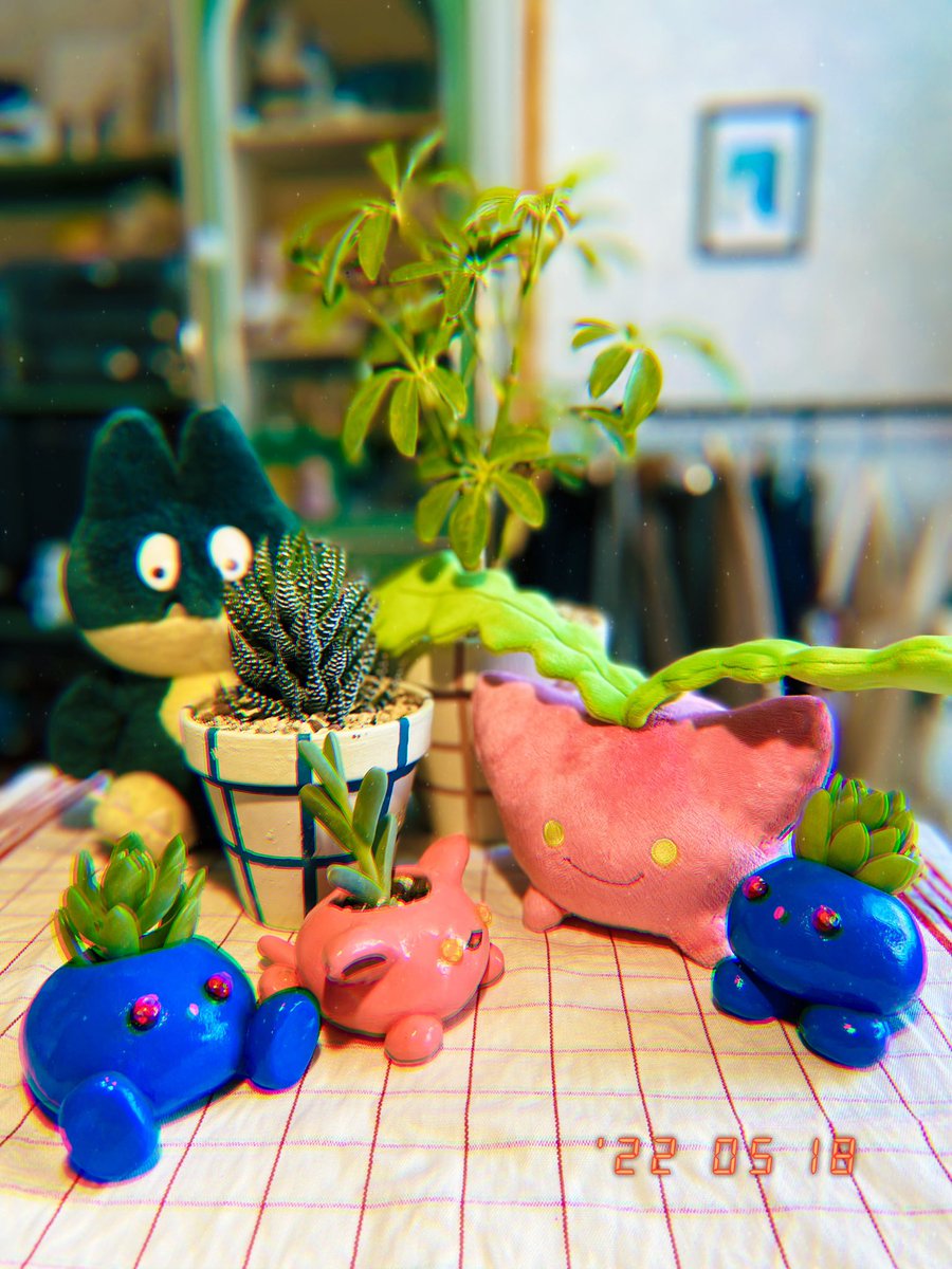 flygon_pokeke's tweet photo. 夢を叶えた🪴

 #ポケモンと生活 https://t.co/uQMg3Az2NN