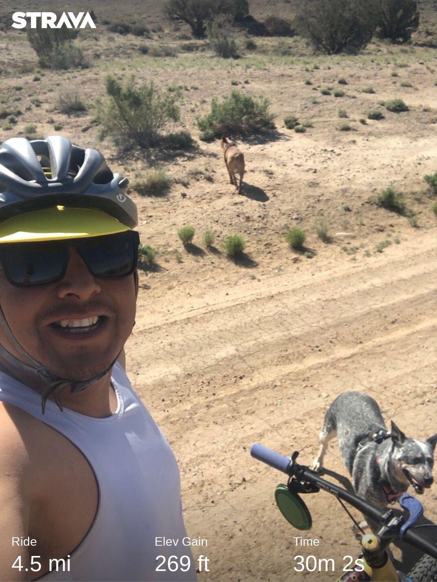 mtb_shaun tweet media