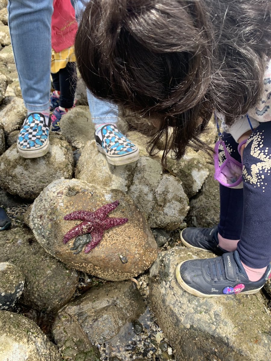 Laura Fee tweet media