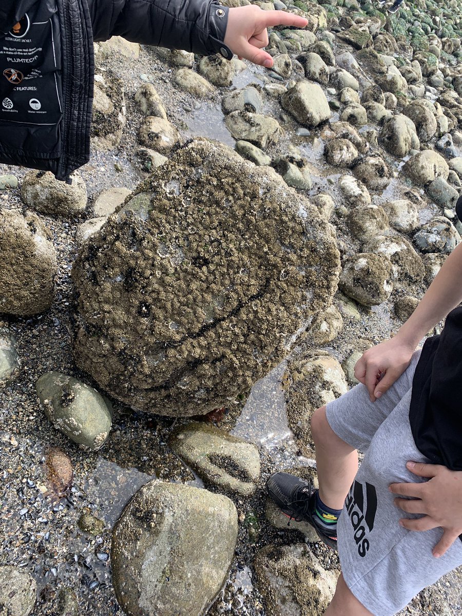 Laura Fee tweet media