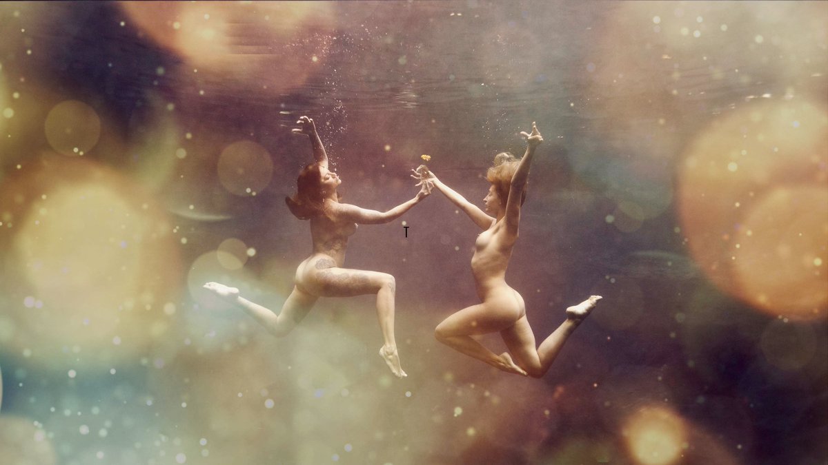 oceaverse's tweet photo. “The Gift” - 
Artist Jenny Baumert - #1 of 9 
SOLD - 💕💕💕

https://t.co/7oRURmGEiO https://t.co/I5zdDsjQAN