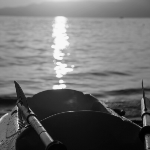 thealcatrazinc's tweet photo. "We're going to rent kayaks then paddle our asses over to the island after it gets dark... you in?" ⁠

Sounds easy enough, right?

#filmscript #famouslastwords #alcatrazisland #paranormalhistory https://t.co/dLHN65YUDR