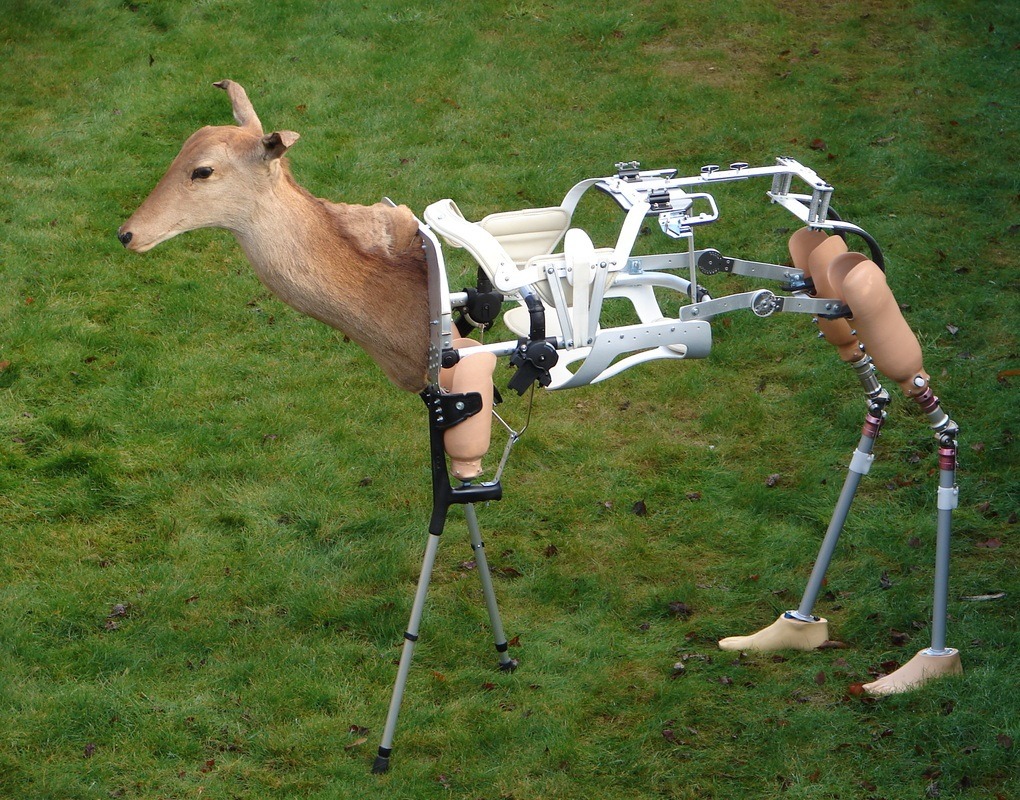 archillect tweet picture