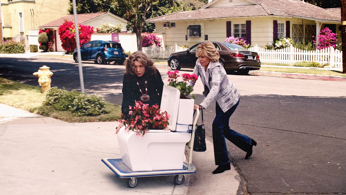 Frankie Bergstein tweet media