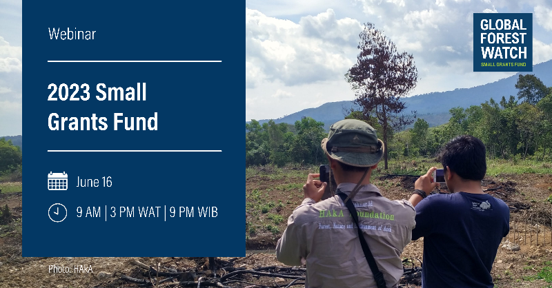 globalforests's tweet photo. We’re hosting a webinar on June 16th at 9am EDT for the #SmallGrantsFund application. 

🌴Overview of the application process 
🌴Live demo of GFW platform 
🌴Q&amp;A