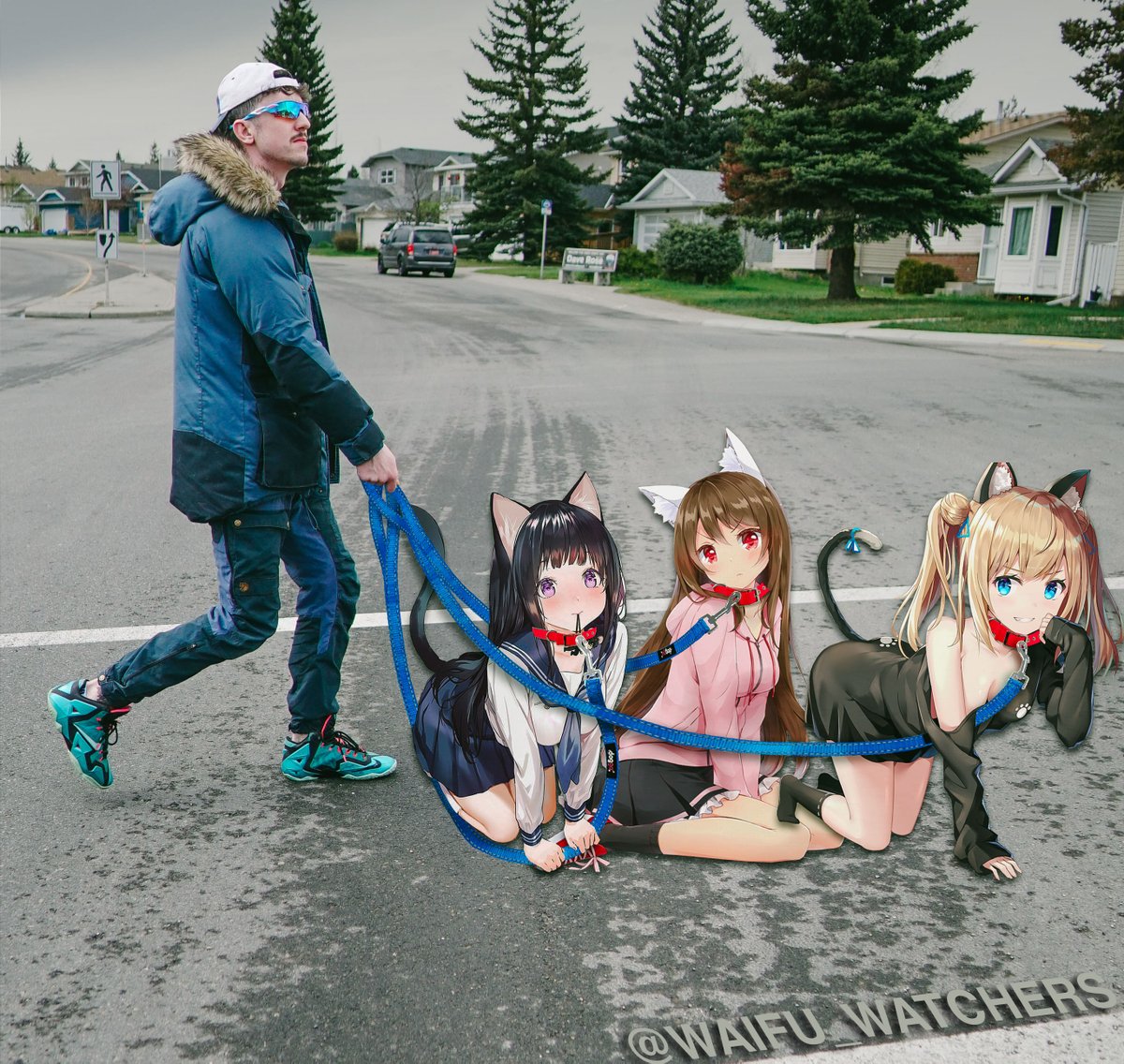 WAIFU_WATCHERS's tweet photo. felt generous today... decided to let the girls out of their cages for some fresh air #waifuwatchers https://t.co/i2HuApXNuJ