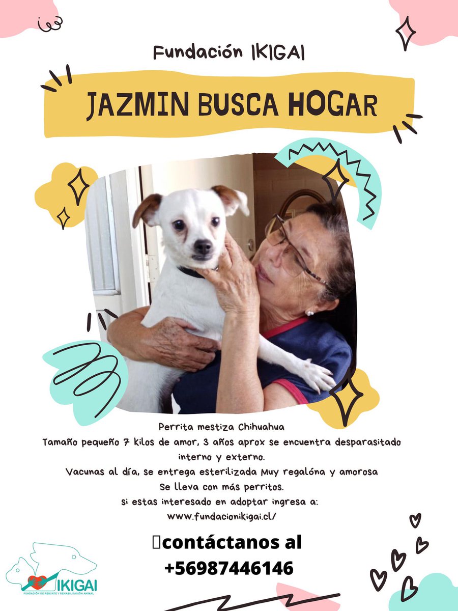 leonardofarkas's tweet photo. Seguidores me informan que Fundación IKIGAI @fundacionikigai de rescate de perritos abandonados está en riesgo por falta de aportes: 
Les enviaré 4 millones de pesos.  Ojalá otros animalistas los  apoyen y muchas familias se motiven a adoptar. 
Leonardo Farkas #PROANIMAL #CHILE https://t.co/Gi40obRTZD