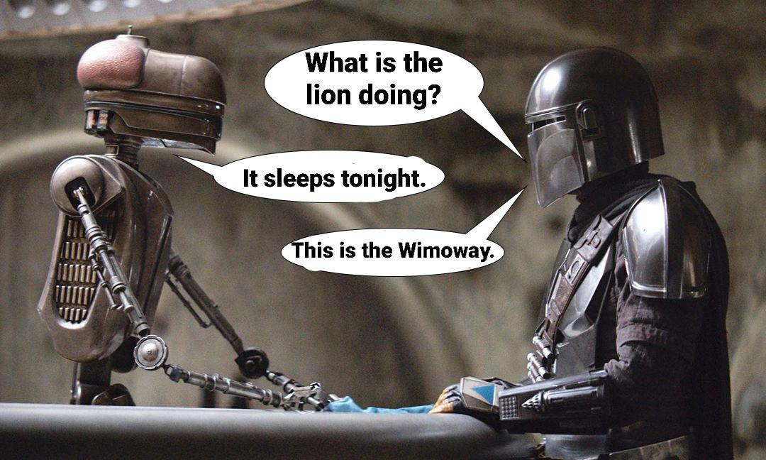 SWMemes's tweet photo. The Lion Sleeps Tonight https://t.co/hHMBZJbL1Y https://t.co/RvmCSlrjc8