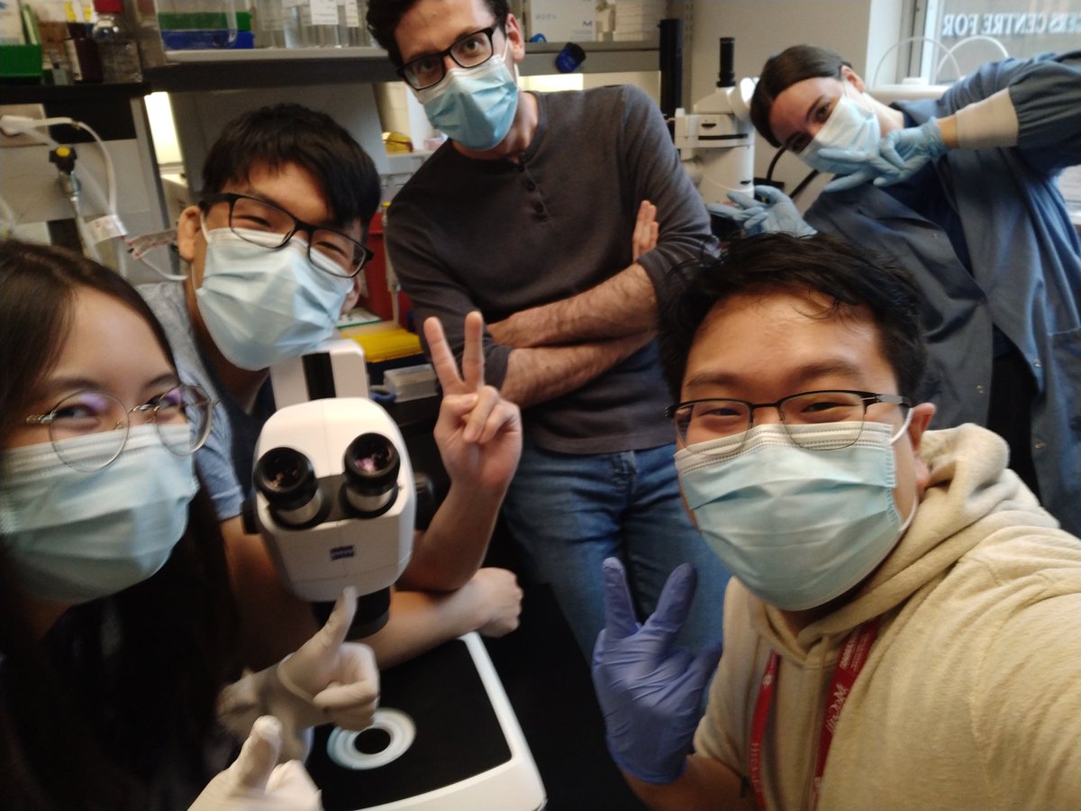 matthewlkchang's tweet image. Meet the newest @StephIrisPro lab member..

Vote for its name:
Max the microscope
Doug the dissecting &apos;scope
Scott the &apos;scope
Zach the Zeiss

 @zeiss_micro

#codeSTEMI(305)