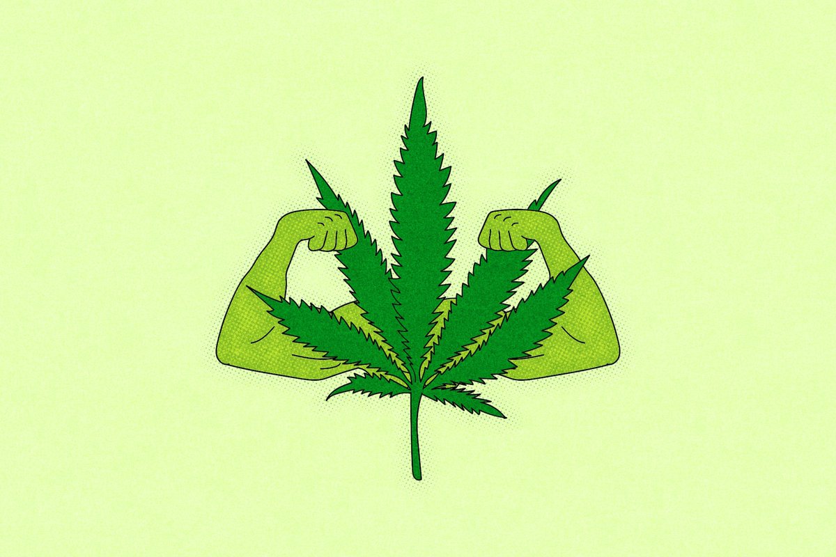 plantivia's tweet photo. Plantivia will break the stigmas associated with cannabis based on vague consumer knowledge. We will be the beacon of light in communities of color offering trusted wellness products and services they may not have had access or affordability to before. 🌿 
#plantiviacbd https://t.co/znEtCXIFB6