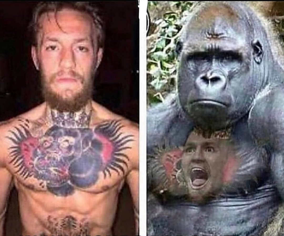 Sor0oo's tweet photo. @TheNotoriousMMA https://t.co/Vp7X5UBJNz