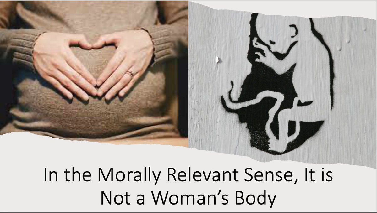 Sean_McDowell's tweet photo. In a morally relevant sense, it is not the woman's body. Guest post by Dr. JP Moreland: https://t.co/CbcZzMCoVZ https://t.co/UTZoeGa2mX