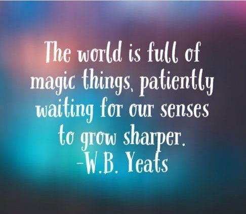 Madhumathi_Inks's tweet photo. #Art ✨
“The moment one gives close attention to any thing, even a blade of grass it becomes a mysterious, awesome, indescribably magnificent world in itself.”
~Henry Miller
#Artists #AllFormsOfArt #LittleMiracles #WondersOfNature #Moments #LifeBloomsinMoments #WbYeats #Seek https://t.co/qjuoJ107je