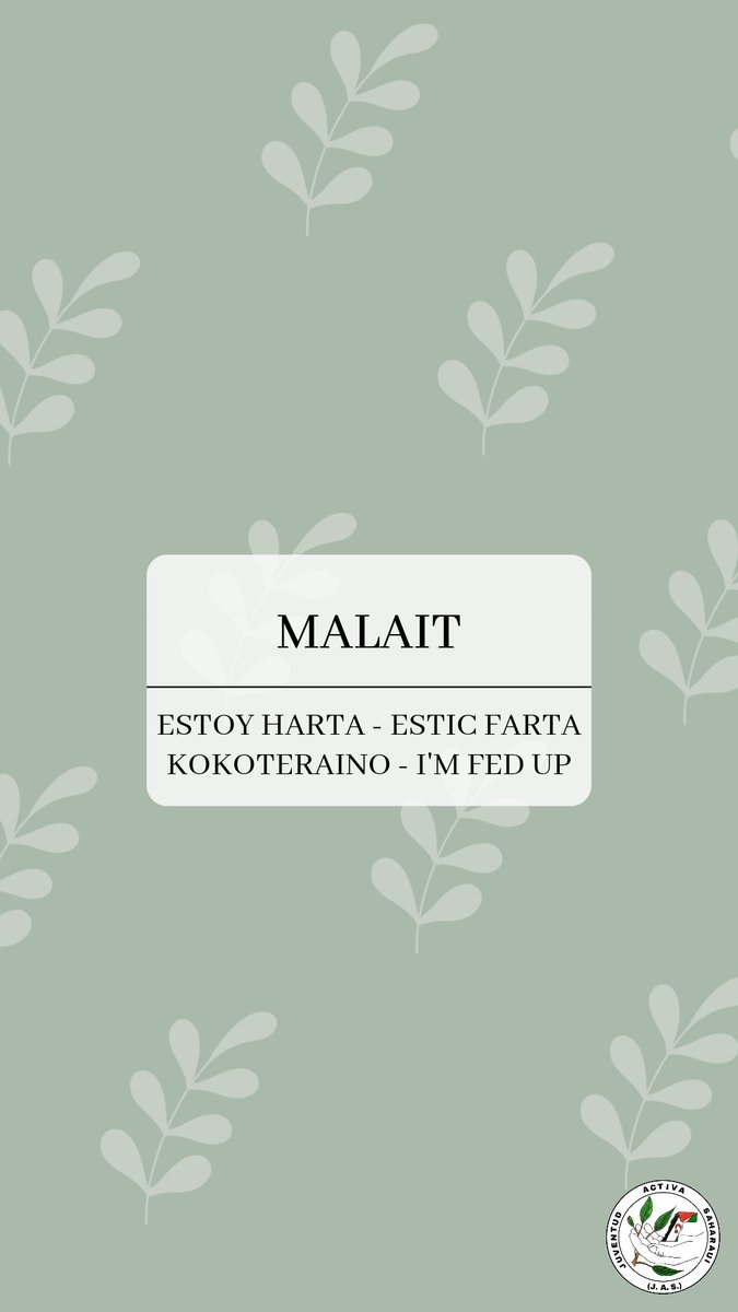 JV_ACTIVA_SH's tweet photo. #MALAIT 
@euskalfondoa1 @Rasd_TVOficial https://t.co/kqpt89YQ5Y
