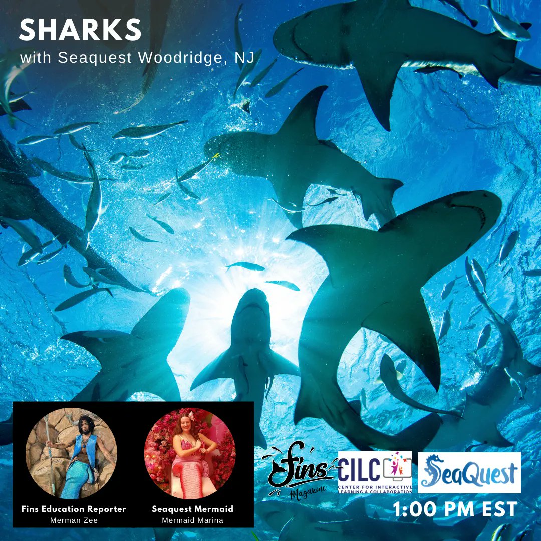 CILC is excited to partner with Fins Magazine to celebrate World Oceans Day on June 8. Learn about the importance of our oceans through programs delivered from 5 different locations across the United States. All programs are free. bit.ly/3Nedu7c