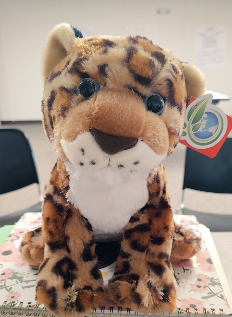 sfesbh's tweet photo. If you want to be the change, come join us at Santa Fe Elementary in Cleveland ISD, home of the Jaguars. The place where MAGIC HAPPENS!! We need Bilingual and Gen Ed teachers to help up open our brand new school!! We are waiting for you!! https://t.co/v5dBxrEpNj