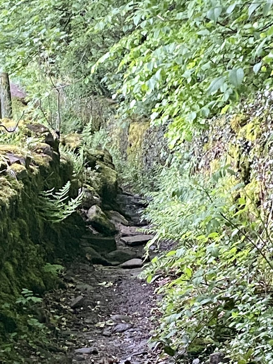 paul_lambert2's tweet photo. Post work bike ride with a few off-road detours to add some miles to support @yorkshirecancer and the #stepoutforyorkshire campaign https://t.co/KyARVdb5PC https://t.co/a5ARDoW3wh