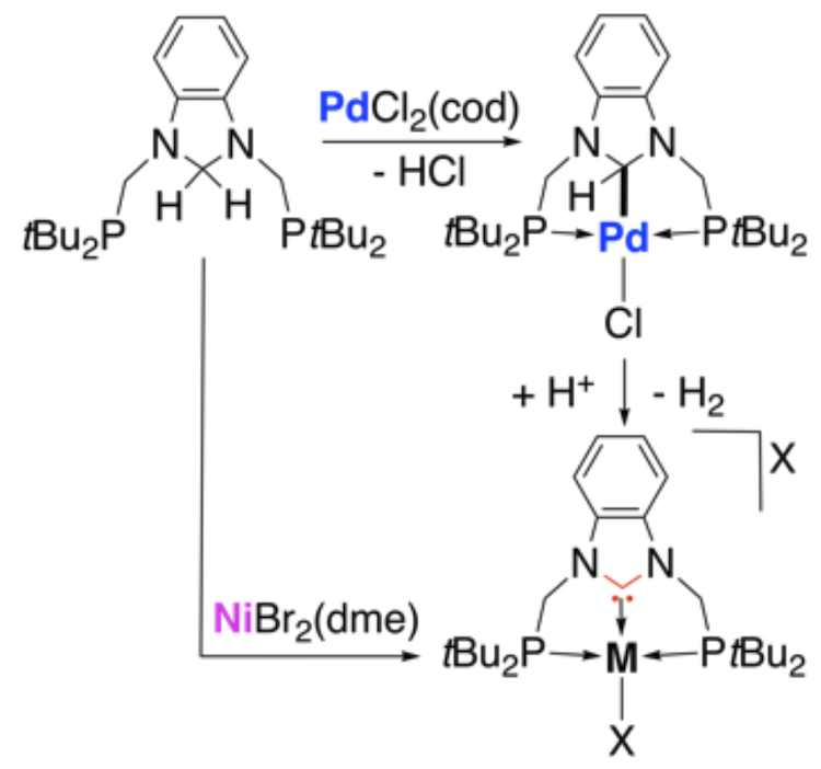 Szostak_Group's tweet photo. #NHCs #NHeterocyclicCarbenes Braunstein group et al reported Pd(II) & Ni(II)-promoted #double #geminal activation of C(sp3)–H bonds. Facile access to #nickel & #palladium NHC-pincers under mild conditions. @pengcheng_gao @ChemEurJ
https://t.co/hiKaiwTsDS https://t.co/Ye5fpm6xEc