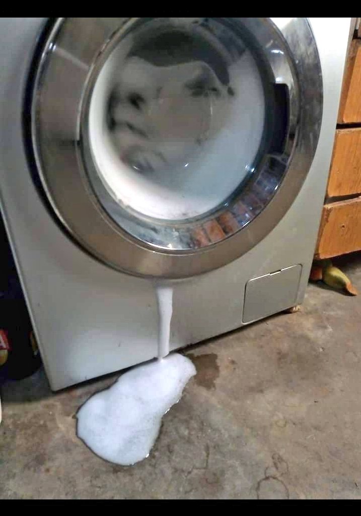 Así se iba de casa y ahora ni saluda 🤣