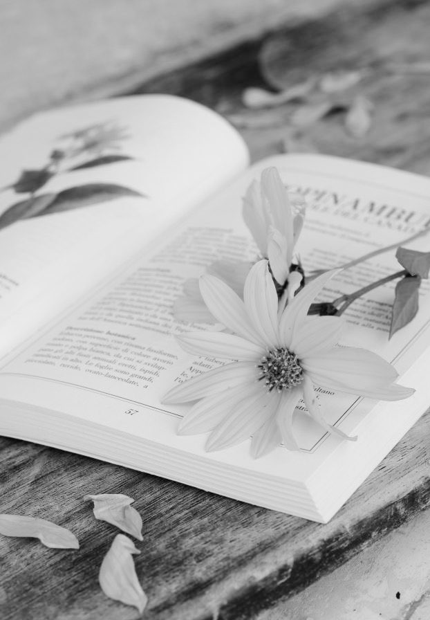 نحنُ الذين نَجيء في صَمت 
ونمْضي في سُكون
نحن الحيارى الصَّامتون .. 
نحن الخَريف المُر 
نحنُ المُتعبون