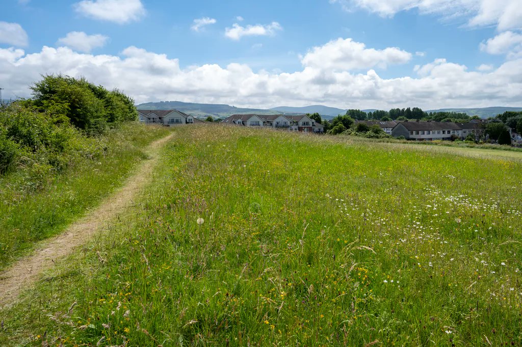 sdublincoco's tweet photo. #BiodiversityWeek2022 

SDCC manage over 160 hectares of natural long flowering meadows. Regular cutting of meadows is an important part of the healthy management. Some of the meadows are cut at the tail end of the flowering season. This allows nesting habitats for many insects. https://t.co/lFG478U0CD