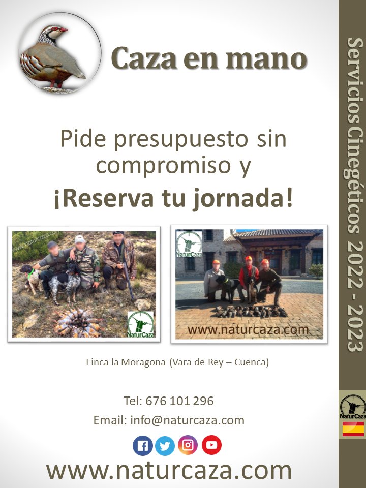 CAZA MENOR: Disfruta de una jornada de #CazaMenor al salto en nuestra finca #LaMoragona (Cuenca), lances tras la #Perdiz, el #Conejo 🐇 y resto de especies cinegéticas ¡No espere más! Posibilidad de alojamiento en la finca 🏡. Infórmate en ☎️ 676101296 o naturcaza.com