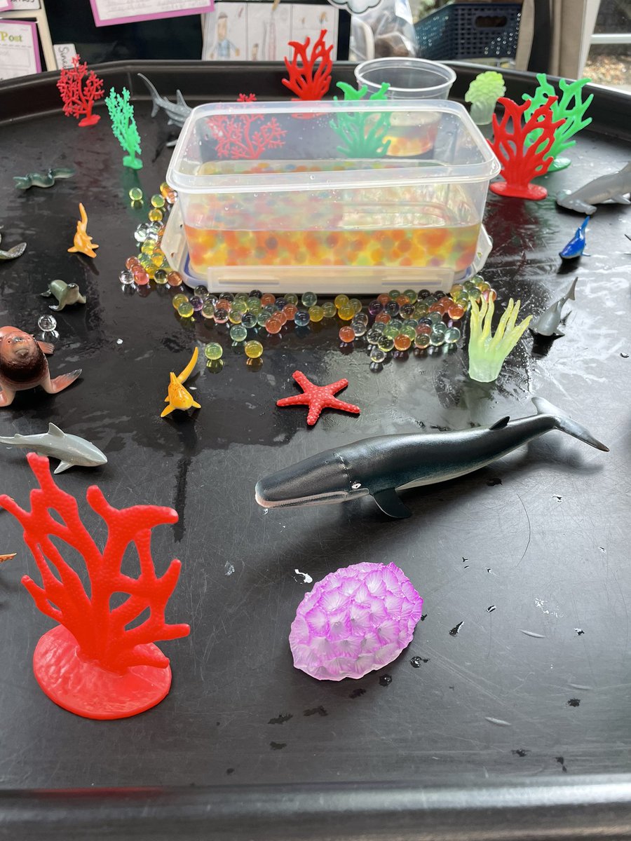 sword_miss's tweet photo. Prep 2 have also been enjoying our water animal habitat with a range of aquatic animals and some sensory orbeezs 🌊  #tufftray #learnthroughplay https://t.co/Va8ryNf4hh