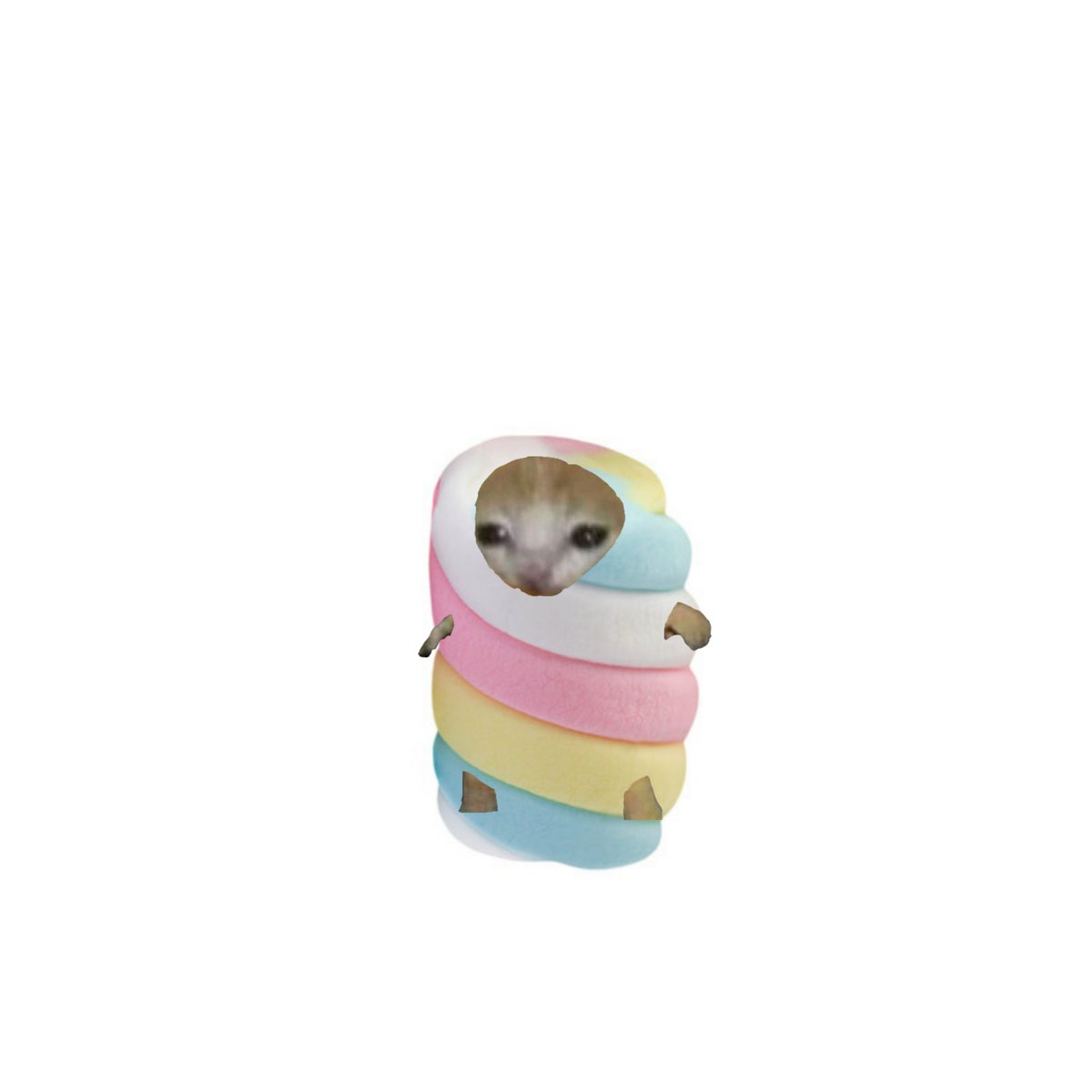 cattoeverywhere's tweet photo. Marshmallow-Catto https://t.co/12Y7bC6Q5B