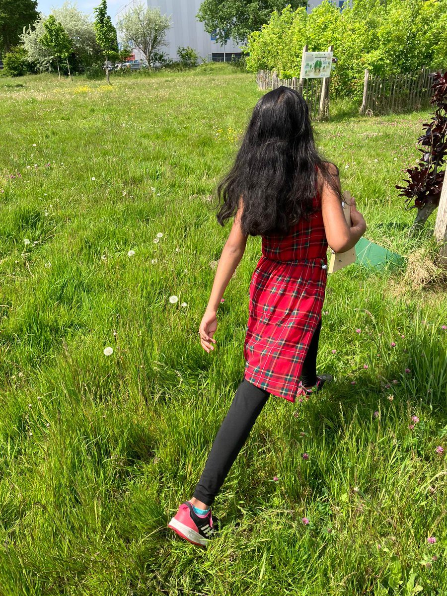 OBSDigitalis's tweet photo. Lekker onderzoeken in onze Tiny forest het Kruiderzeebosje https://t.co/cAjvNqe4Uv