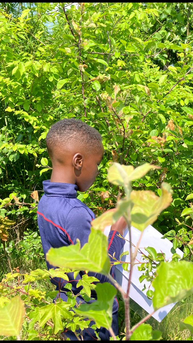 Lekker onderzoeken in onze Tiny forest het Kruiderzeebosje