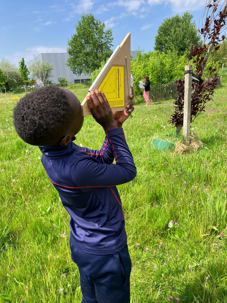 OBSDigitalis's tweet photo. Lekker onderzoeken in onze Tiny forest het Kruiderzeebosje https://t.co/cAjvNqe4Uv