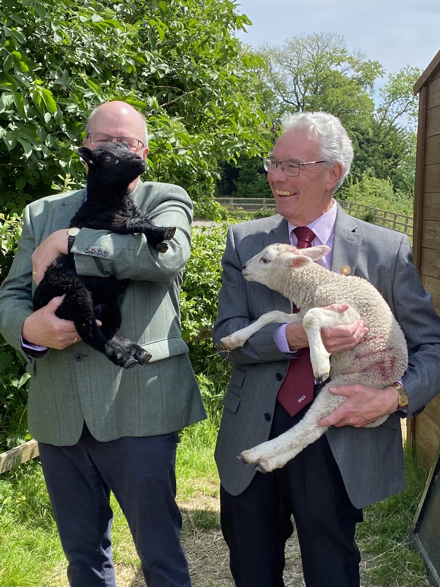 RuthDrury100's tweet photo. @JimSteggles and @philip_drury as you have never seen them before! With their new friends @WhirlowHallFarm !
@westyorksmark #MarkBenevolentFund https://t.co/vGIHJhAyd8