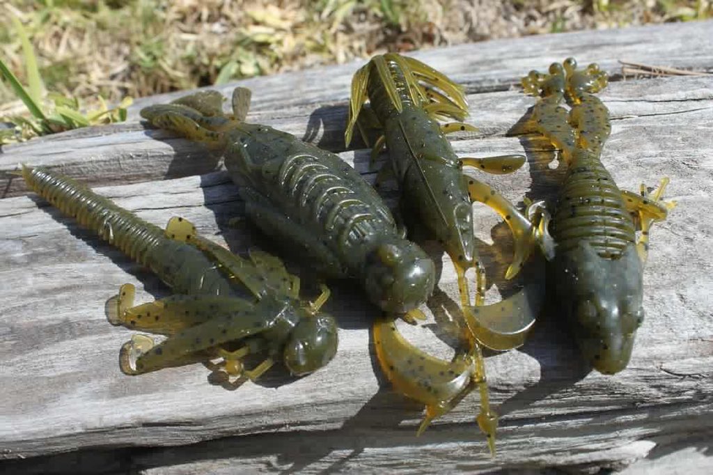 The_FTI's tweet photo. FishLab Nature Series Creature Baits | ICAST 2022 Sneak Peek https://t.co/SwtEe9OEv2

#icast #fishing #bass #newproductshowcase #icast2022 https://t.co/lWVQcr98vI