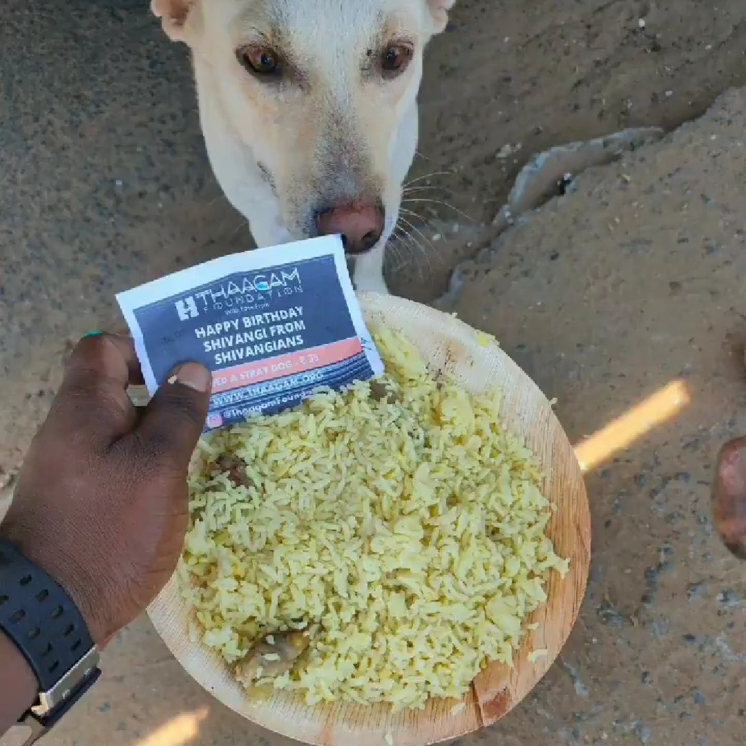 We shivangians came together and contributed for a good cause to celebrate shivangi's birthday this year. with the help of @ThaagamNGO we fed around 70 children and 17 stray dogs. @shivangijoshi10 you always inspire, bless you! <3 SHIVANGI TURNS 24 #HappyBirthdayShivangiJoshi
