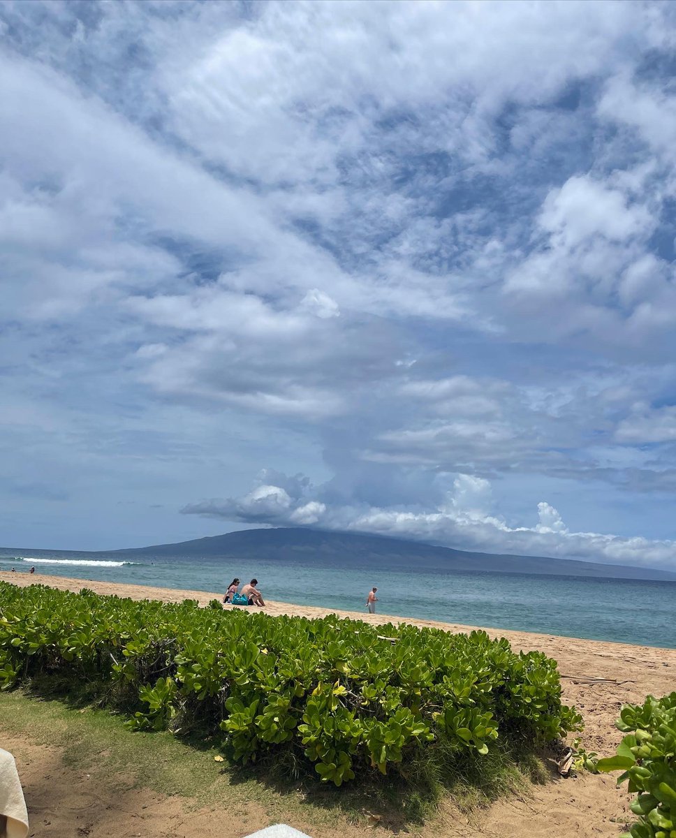 AvaMax's tweet image. 🌺 hawaiian memories 🌺