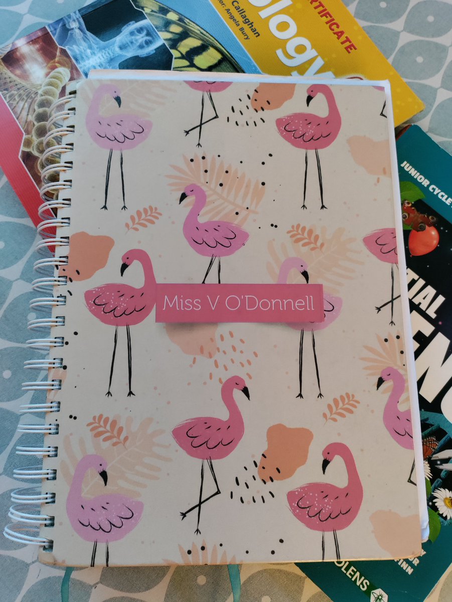 Veronica O'Donnell tweet media